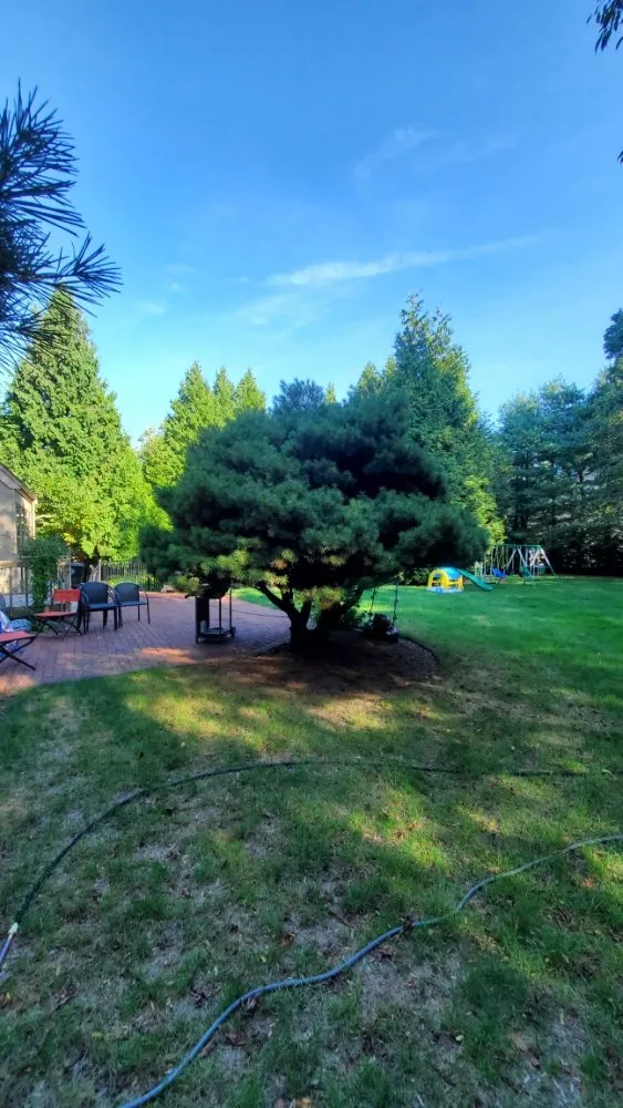 Expert landscaping services for outdoor upgrades across New Bedford, MA - Edgar lansdcaping