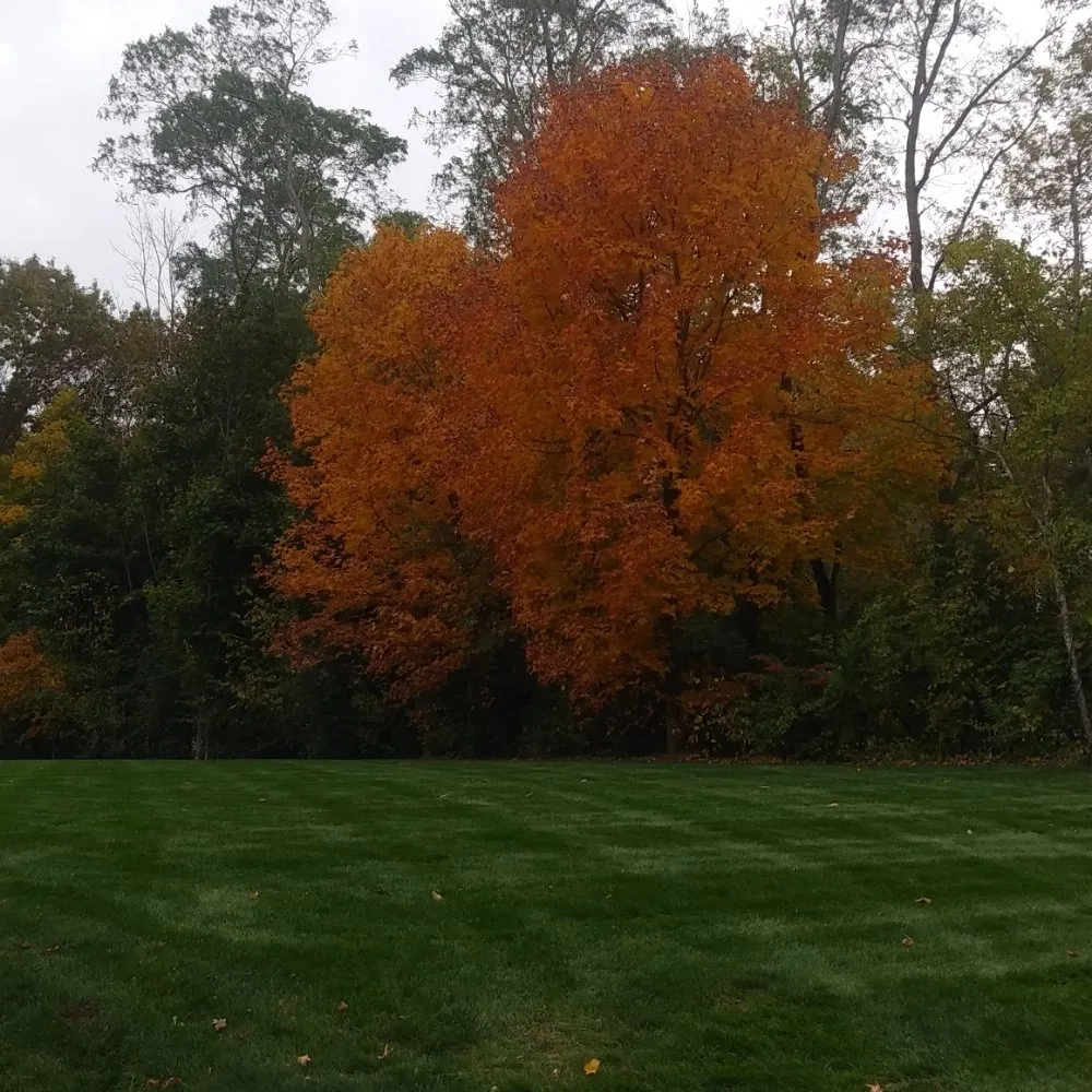 Custom landscaping services in New Bedford, MA by Edgar lansdcaping