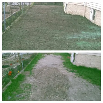 Edgar lansdcaping Logo