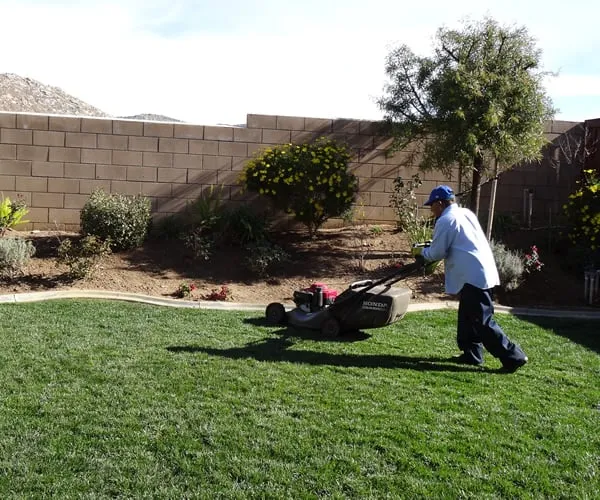 Reliable yard maintenance experts serving Moreno Valley, CA - Edgar Lawn & Landscaping