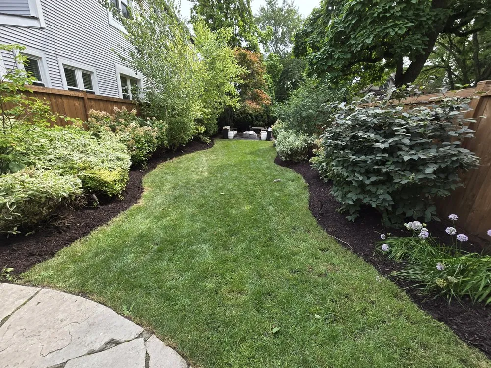 Top-rated yard cleanup service in Chicago, IL by Edgar Lawn Care