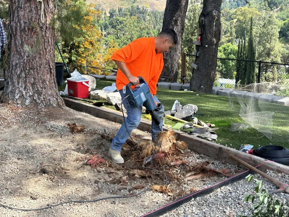 Top-rated landscape installation for beautiful yards across West Hills, CA - Edgar Martinez