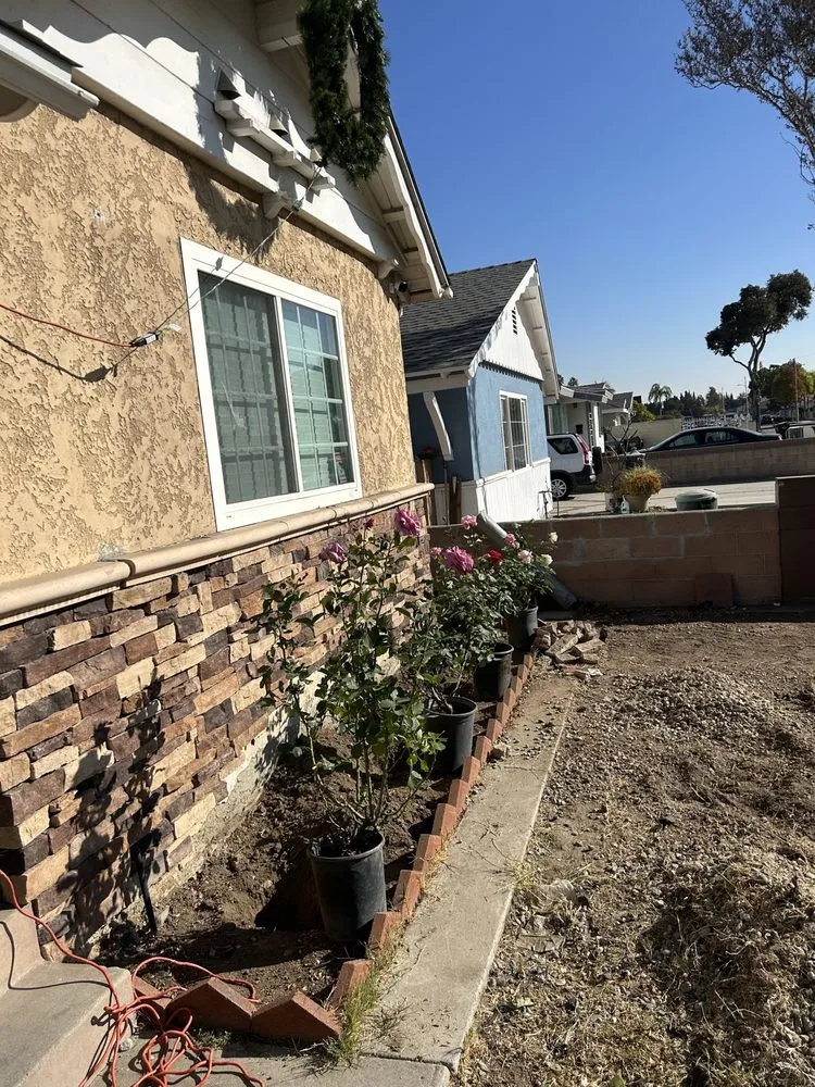 Custom yard maintenance experts serving West Hills, CA - Edgar Martinez