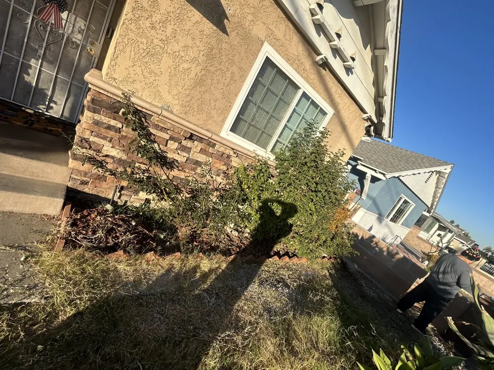 Reliable landscape design for year-round maintenance across West Hills, CA - Edgar Martinez