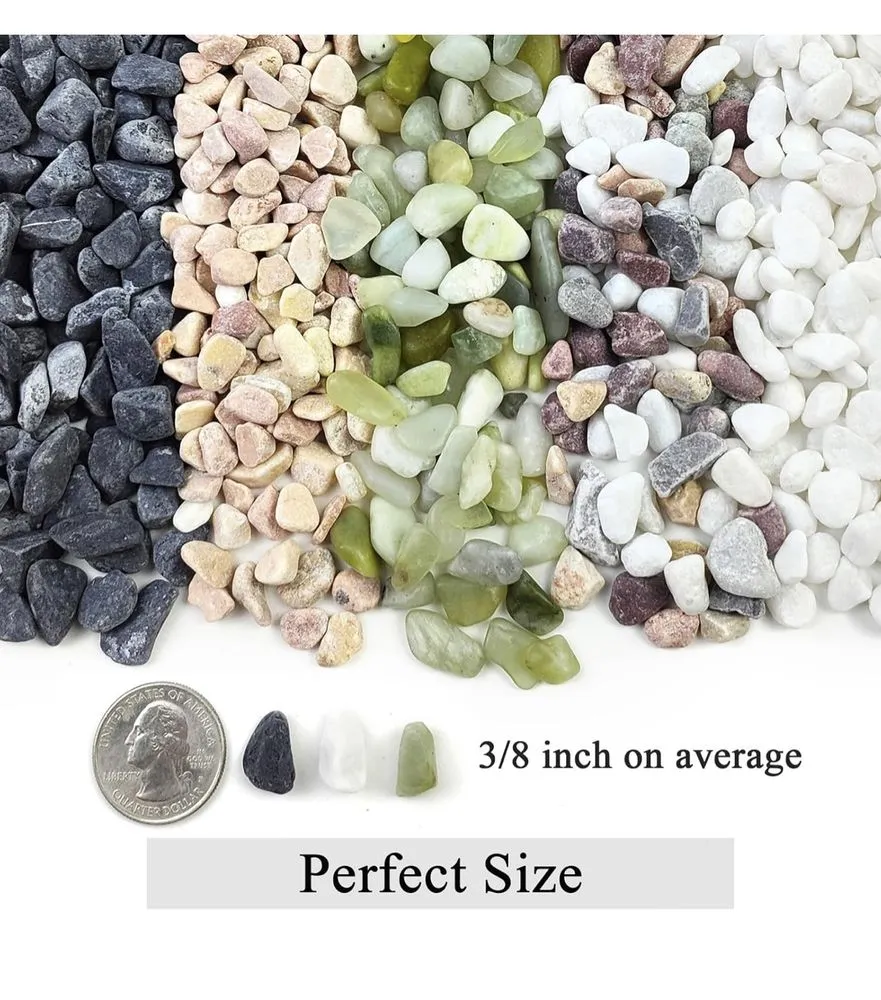 Reliable yard maintenance for year-round maintenance in West Hills, CA by Edgar Martinez