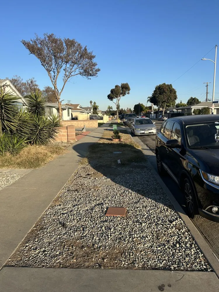 Professional landscape design in West Hills, CA by Edgar Martinez