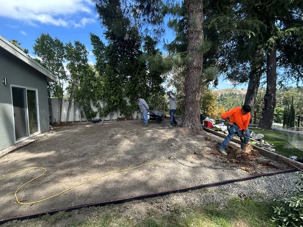 Professional outdoor landscaping in West Hills, CA - Edgar Martinez