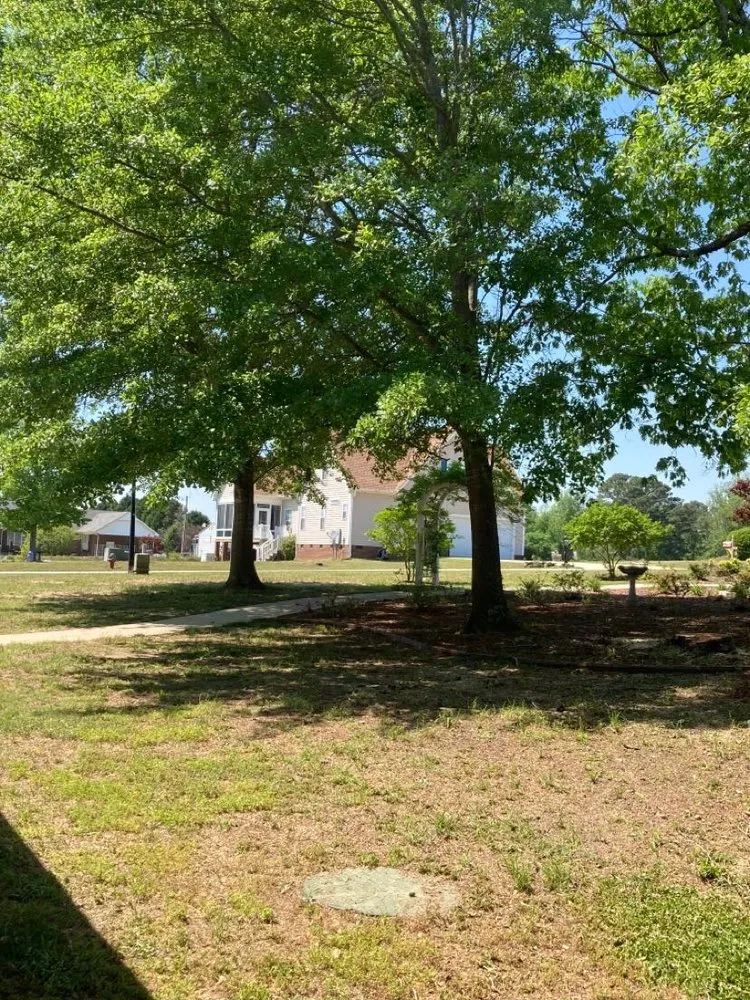 Professional landscape design in Durham, NC by Edgar Mora