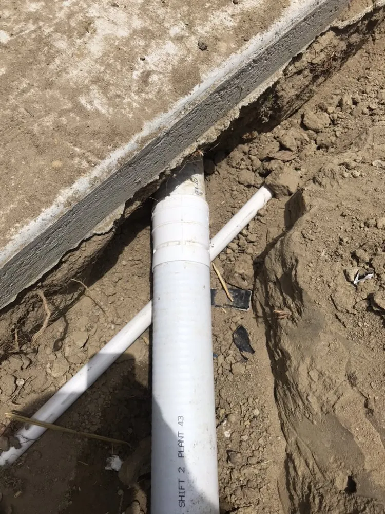 Local yard maintenance in Carlsbad, CA by Edgar Morales Gardening