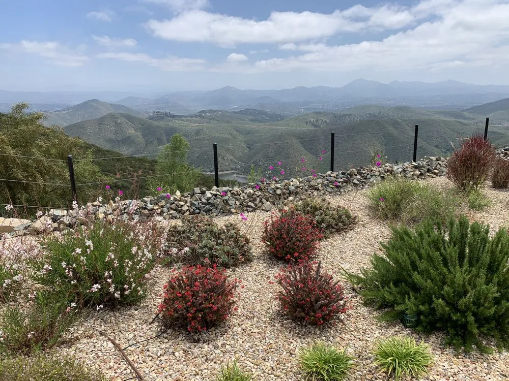 Reliable garden landscaping for residential properties across Carlsbad, CA - Edgar Morales Gardening