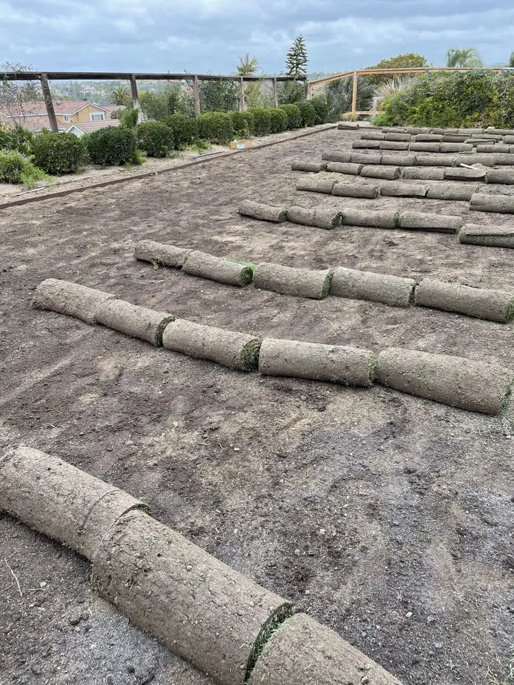 Trusted garden landscaping for residential properties in Carlsbad, CA by Edgar Morales Gardening