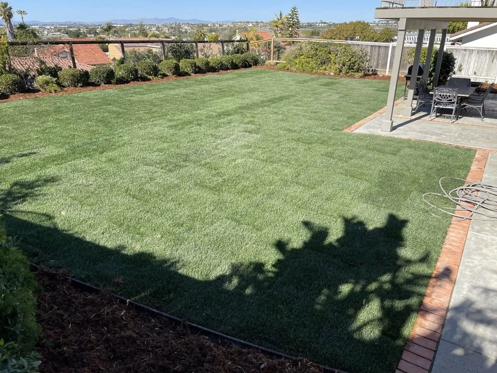 Reliable lawn care service in Carlsbad, CA by Edgar Morales Gardening