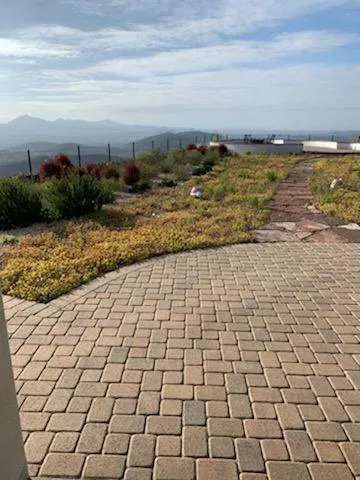 Top-rated outdoor landscaping for beautiful yards across Carlsbad, CA - Edgar Morales Gardening