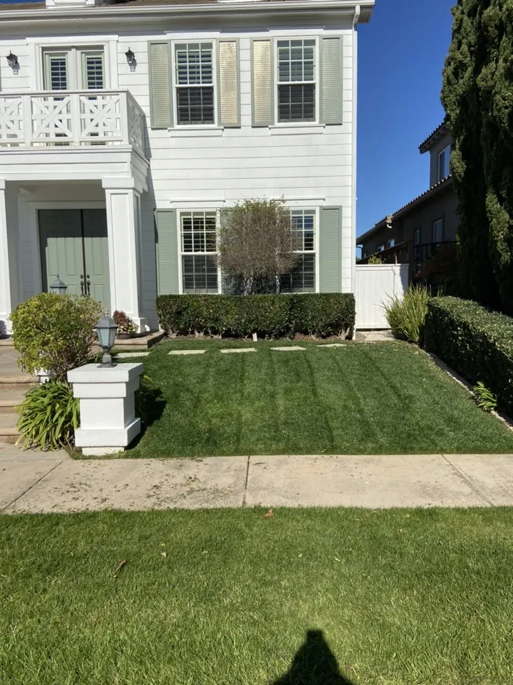 Trusted outdoor landscaping for beautiful yards in Carlsbad, CA by Edgar Morales Gardening