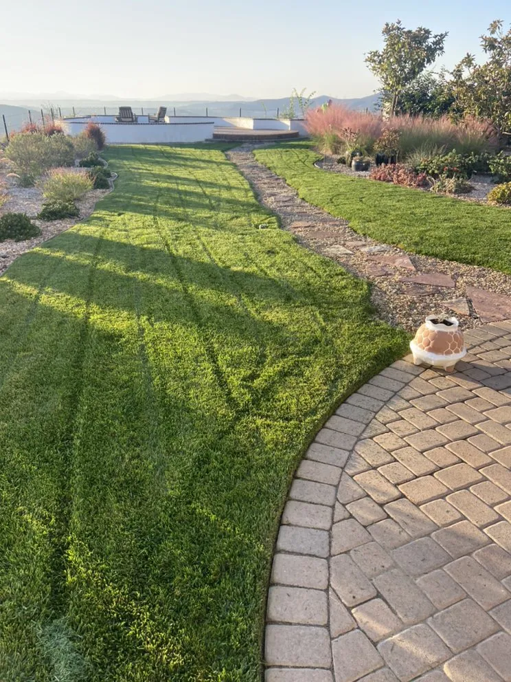 Expert yard cleanup service in Carlsbad, CA by Edgar Morales Gardening