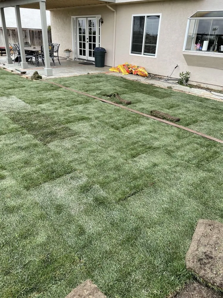 Top-rated landscape installation in Carlsbad, CA - Edgar Morales Gardening