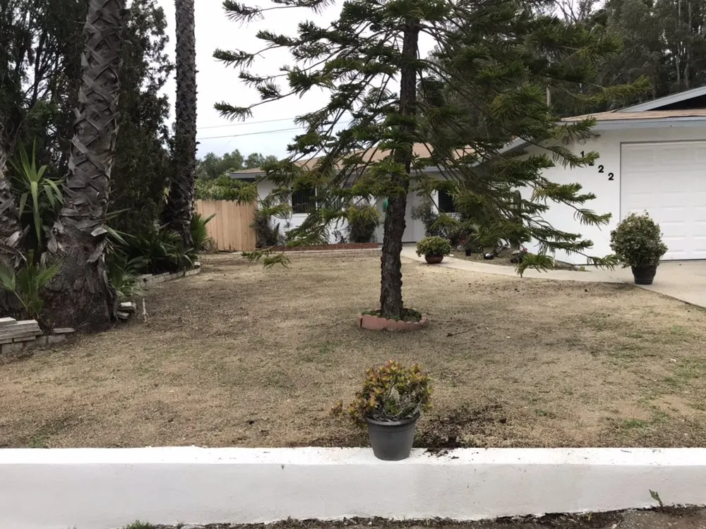 Expert landscape design in Carlsbad, CA by Edgar Morales Gardening