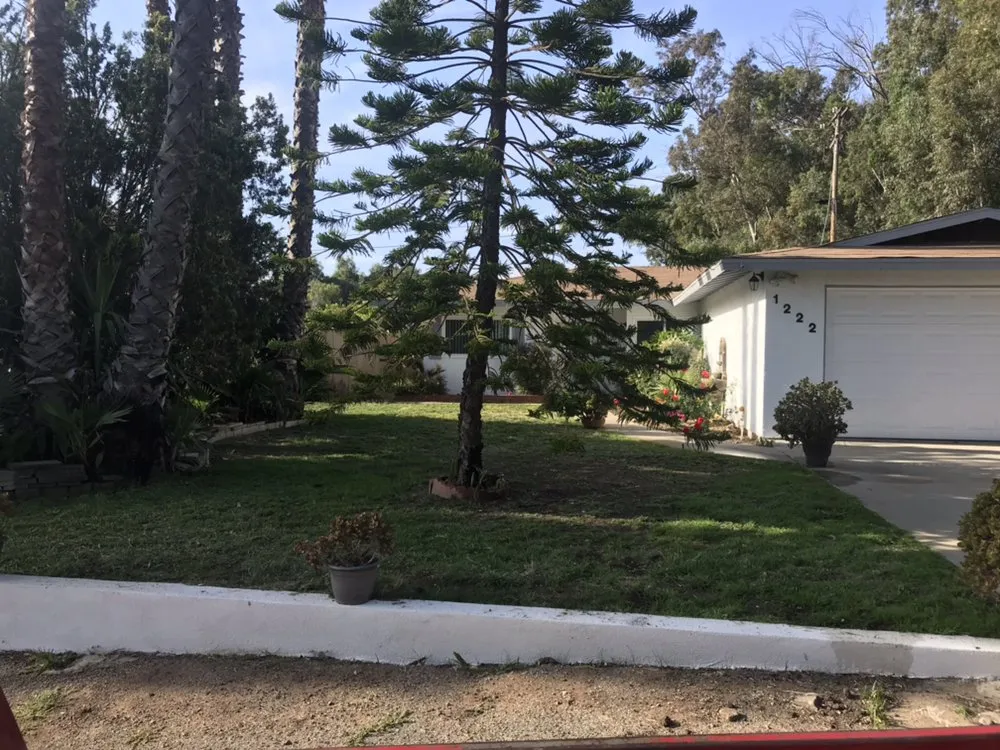 Custom landscaping services with custom design in Carlsbad, CA by Edgar Morales Gardening