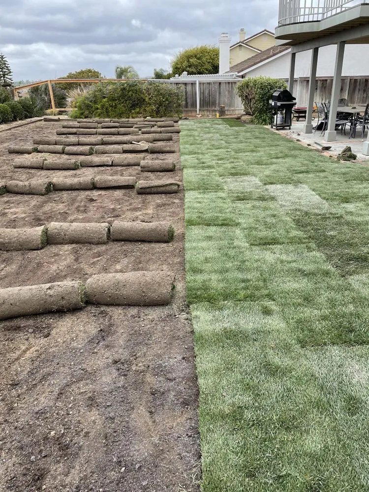 Expert residential landscaping in Carlsbad, CA - Edgar Morales Gardening