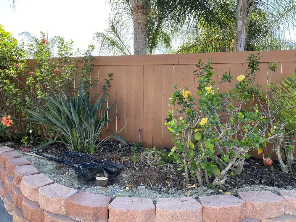 Affordable garden landscaping for homes across Carlsbad, CA - Edgar Morales Gardening
