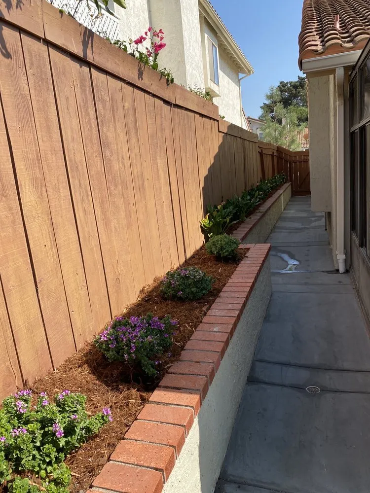 Professional landscaping services in Carlsbad, CA - Edgar Morales Gardening