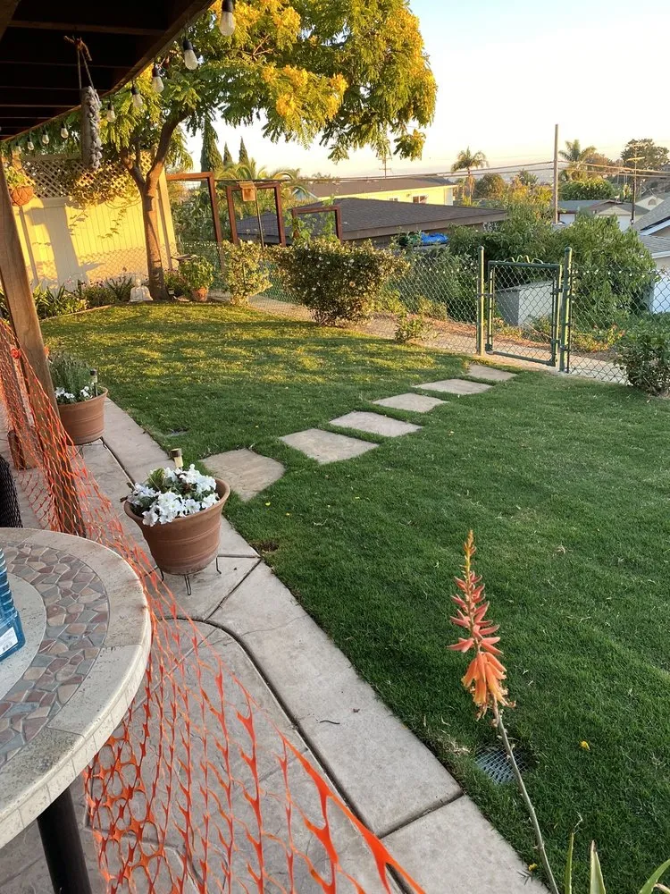 Trusted yard cleanup service in La mesa, CA - Edgar Ochoa Landscape