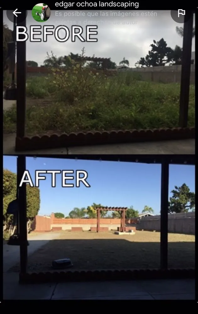 Local yard cleanup service in La mesa, CA - Edgar Ochoa Landscape
