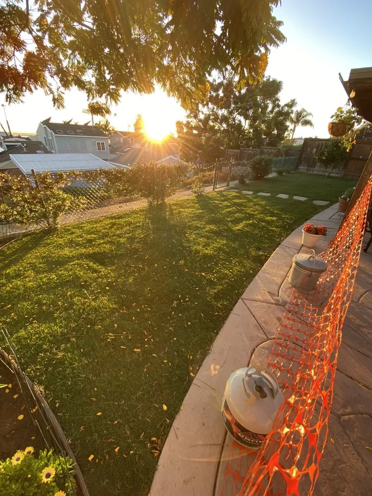 Professional outdoor landscaping in La mesa, CA - Edgar Ochoa Landscape