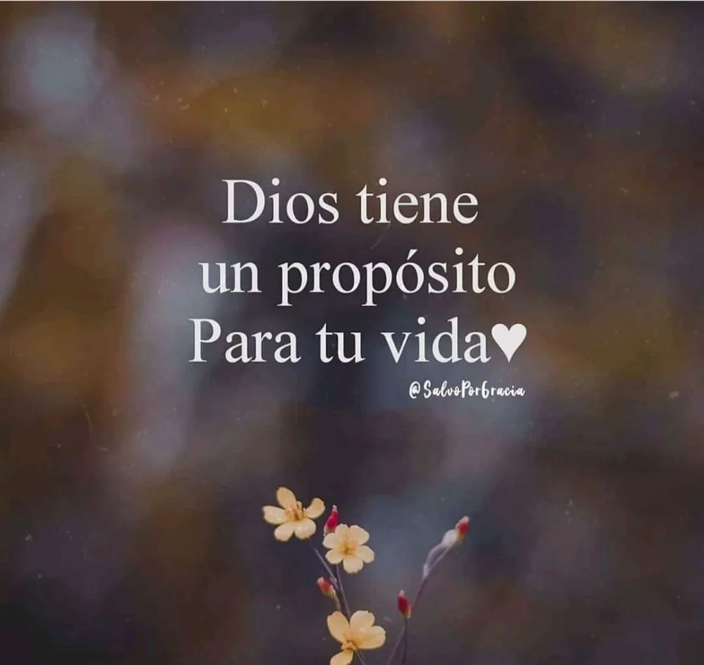 Affordable landscaping services for year-round maintenance in Turlock, CA by Edgar Ser