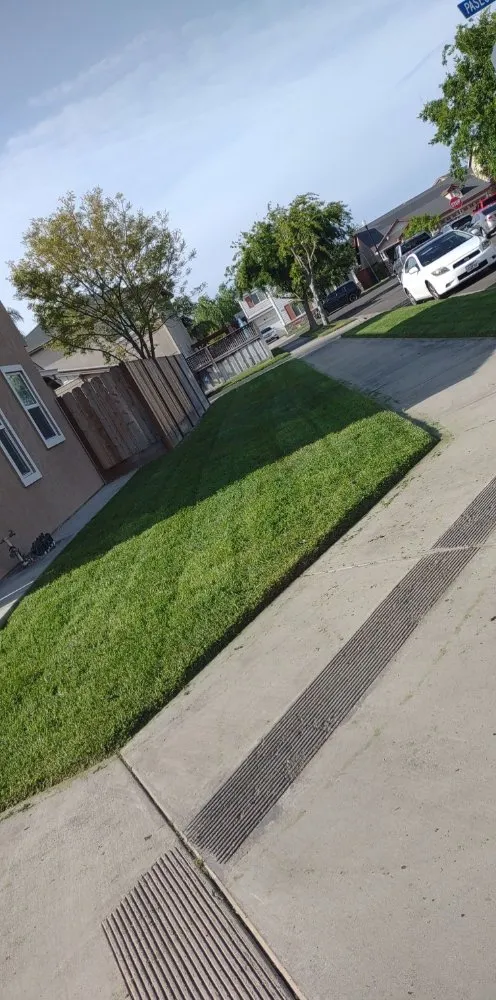 Custom yard maintenance in Turlock, CA by Edgar Ser