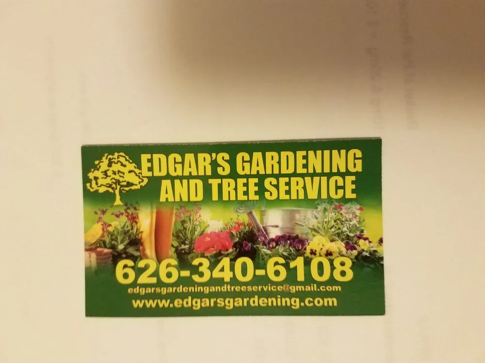 Expert yard cleanup service for year-round maintenance across Pasadena, CA - Edgar's Gardening and Tree Service