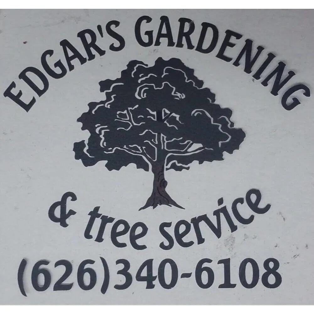 Top-rated lawn care service in Pasadena, CA - Edgar's Gardening and Tree Service