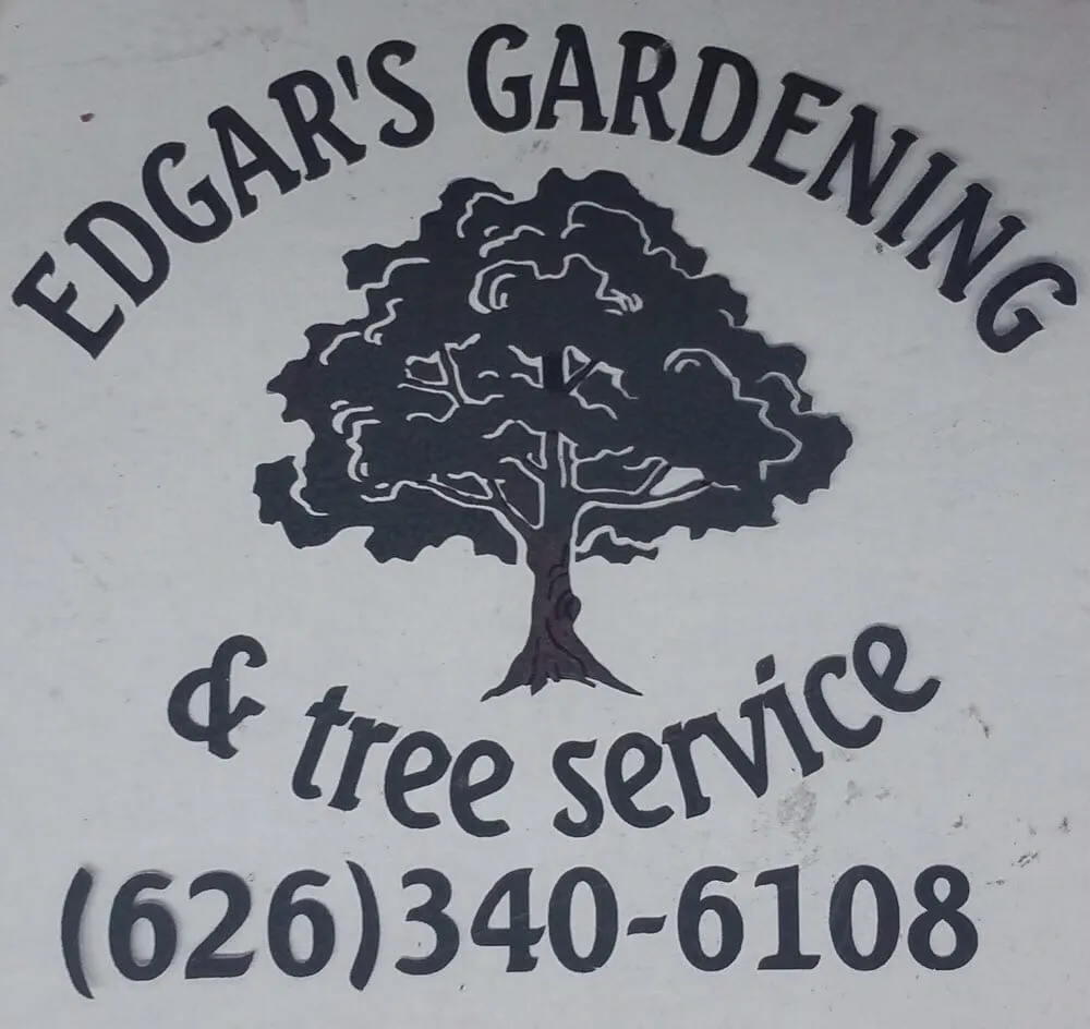 Expert yard cleanup service for residential properties in Pasadena, CA by Edgar's Gardening and Tree Service