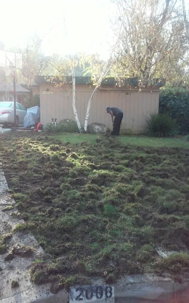 Reliable lawn mowing service near you across Pasadena, CA - Edgar's Gardening and Tree Service