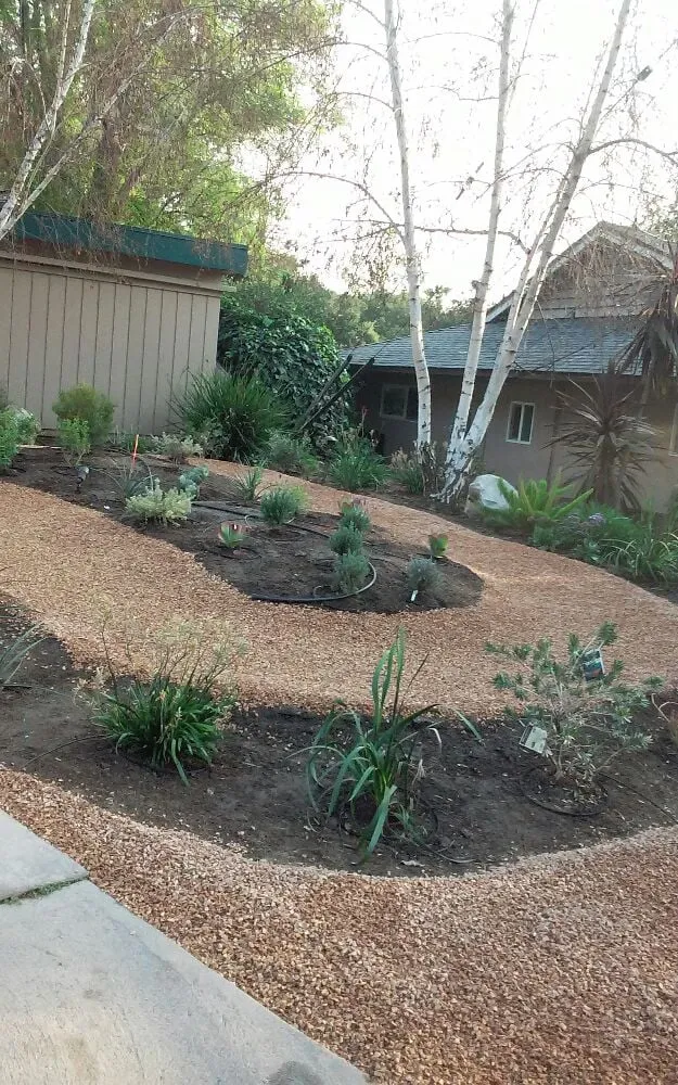 Top-rated landscape design near you across Pasadena, CA - Edgar's Gardening and Tree Service