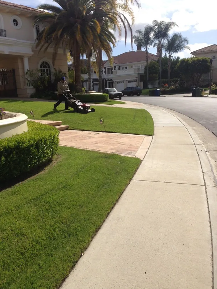 Local landscape installation in Pasadena, CA - Edgar's Gardening and Tree Service