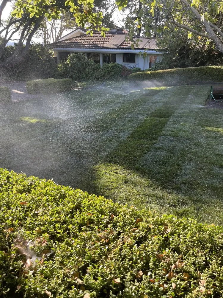Affordable yard maintenance for beautiful yards across San Rafael, CA - Edgar’s Handyman