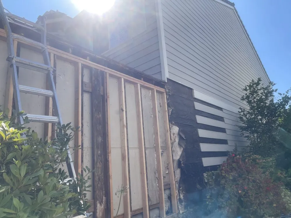 Reliable residential landscaping experts serving San Rafael, CA - Edgar’s Handyman