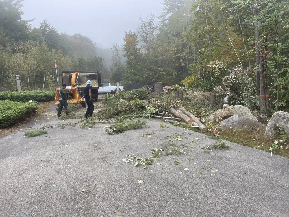 Expert yard maintenance experts serving Manchester, NH - Edgar’s Landscape Services