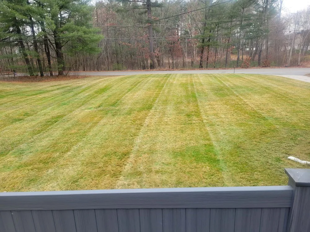 Professional landscaping services for beautiful yards across Manchester, NH - Edgar’s Landscape Services