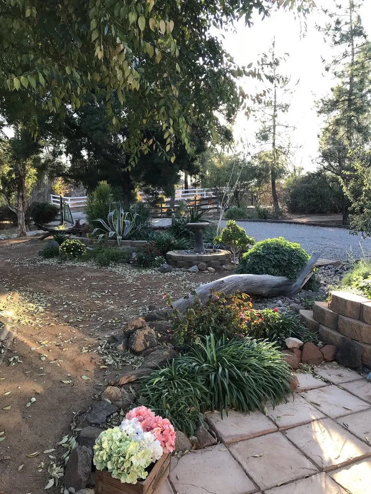 Local outdoor landscaping experts serving El Cajon, CA - Edgar's Landscaping and General Contracting Services