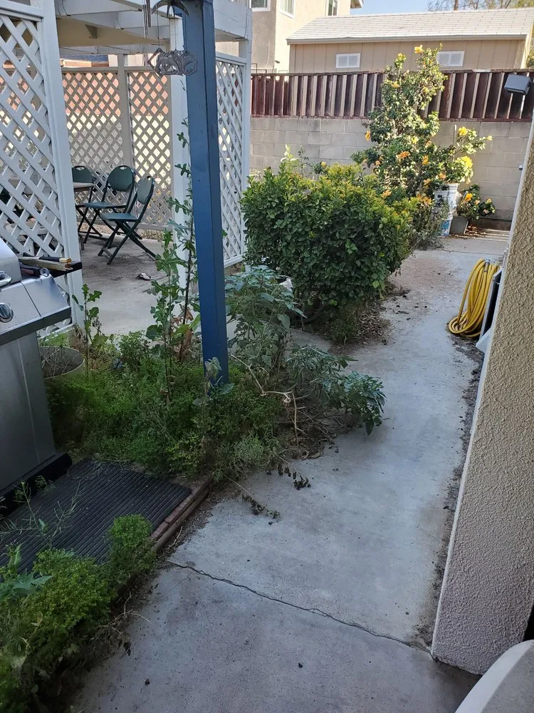 Top-rated lawn care service for beautiful yards in El Cajon, CA by Edgar's Landscaping and General Contracting Services