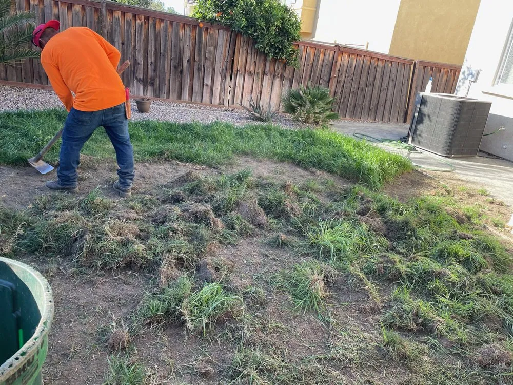 Custom lawn care service for residential properties across San Bernardino, CA - Edgar's Landscaping
