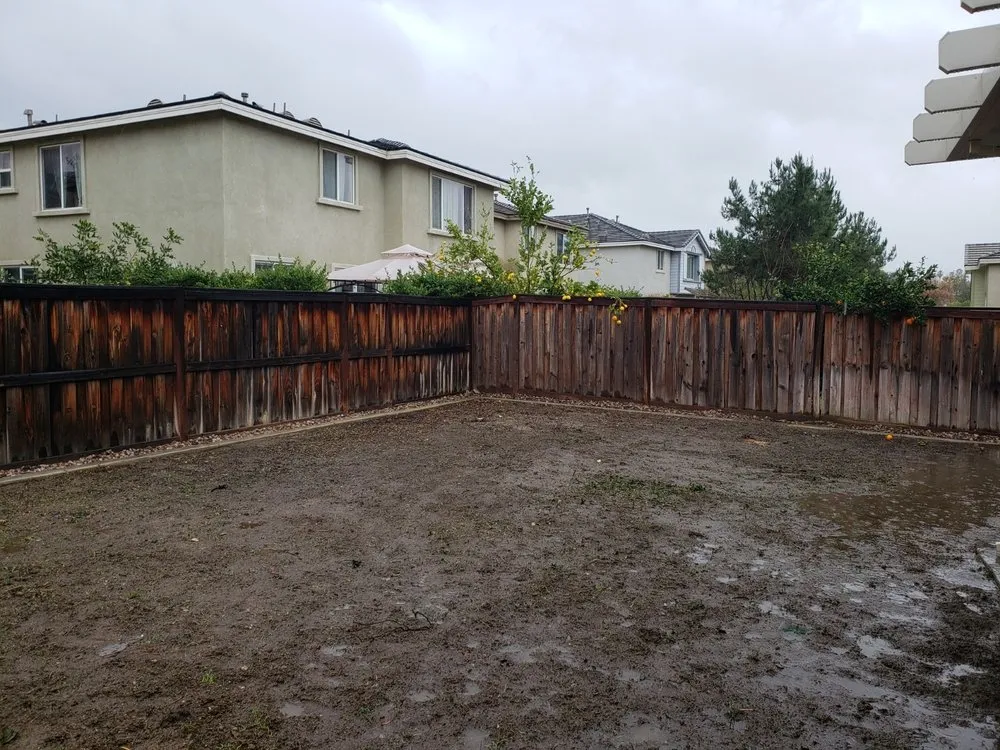 Reliable yard cleanup service in San Bernardino, CA by Edgar's Landscaping