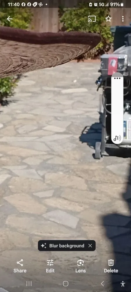 Local landscape design for beautiful yards across Menlo Park, CA - Edgar's Maintenance