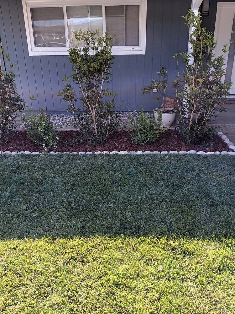 Affordable residential landscaping for beautiful yards across Menlo Park, CA - Edgar's Maintenance