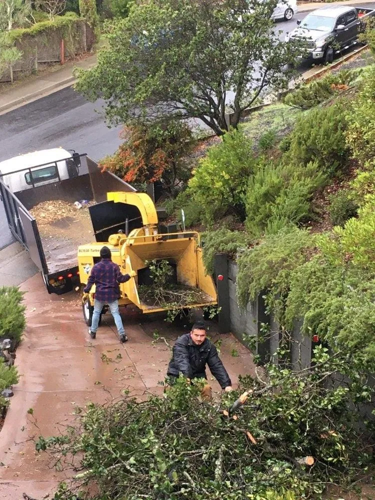 Custom garden landscaping in Novato, CA - Edgar's Tree Service & Landscape