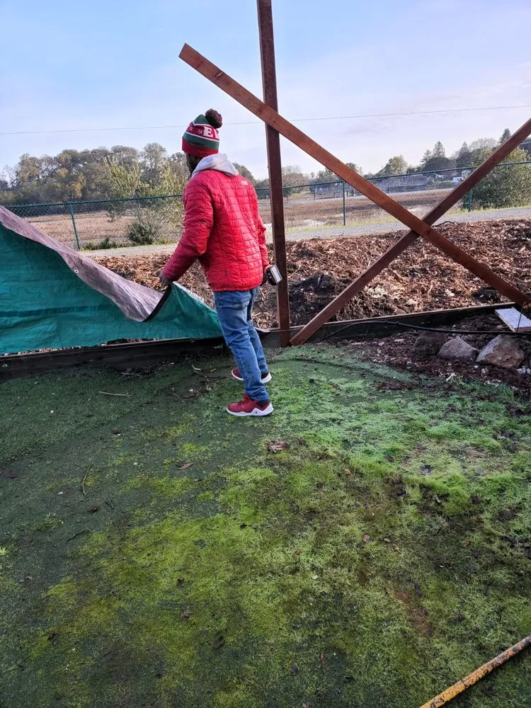 Affordable lawn mowing service in Novato, CA by Edgar's Tree Service & Landscape