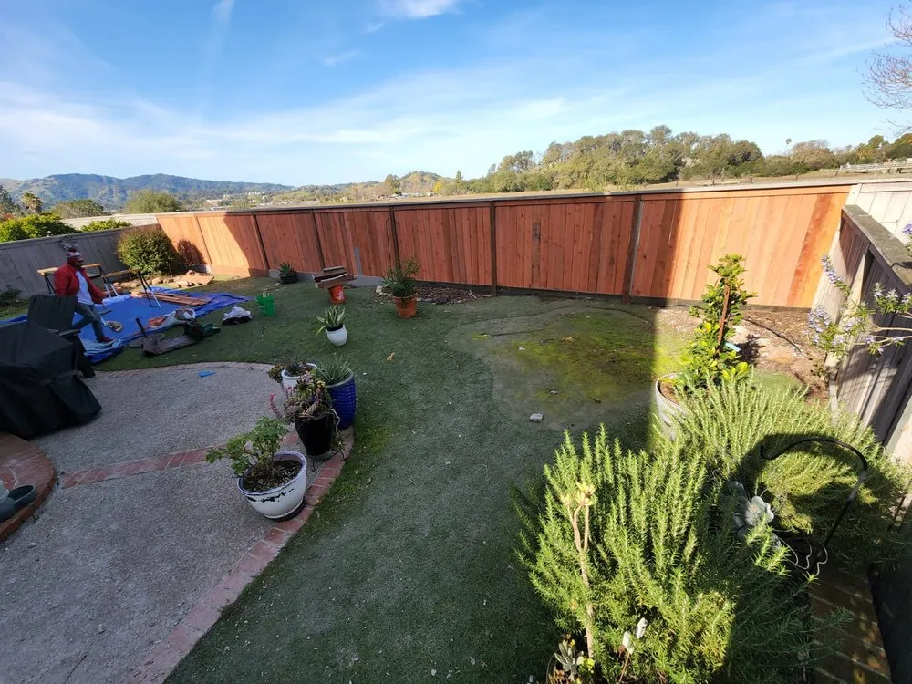 Professional landscape installation in Novato, CA - Edgar's Tree Service & Landscape