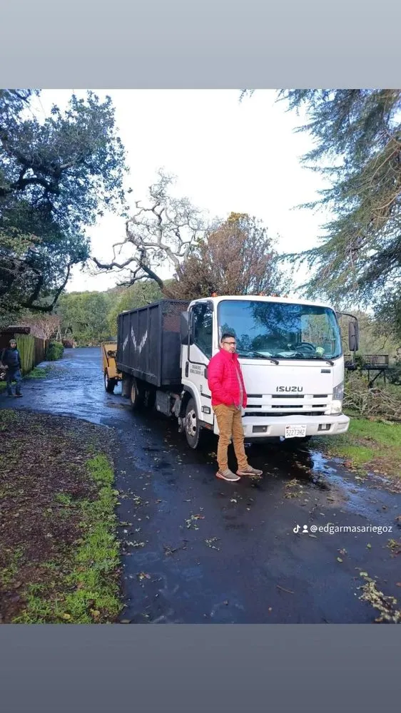 Expert lawn care service experts serving Novato, CA - Edgar's Tree Service & Landscape